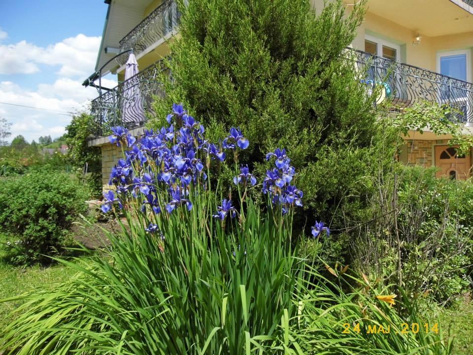 Ferienwohnung Przystanek Pod Skalkami Lesko Exterior foto